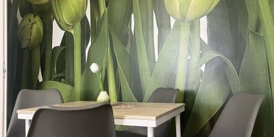 Green Harmony Apartman Pécs - foto 2