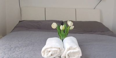 Green Harmony Apartman Pécs - foto 3