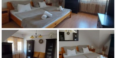 Katica Apartman Kehidakustány - foto 5