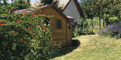 Bohó Vándor Vendégház Zalaszántó - foto 5