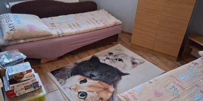 Willa Eryka Chłapowo - foto 5