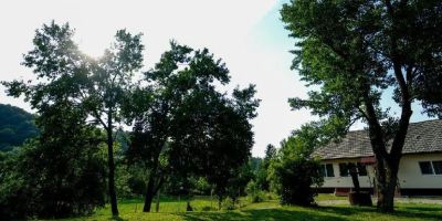 Casa Buzaiel 910 Vama Buzăului - foto 5