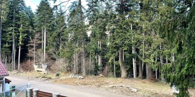 5th Forest Villa – Family Retreat, Garden & BBQ Predeal - foto 2