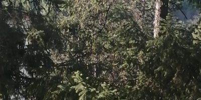 Hotel Alice Băile Olăneşti - foto 5