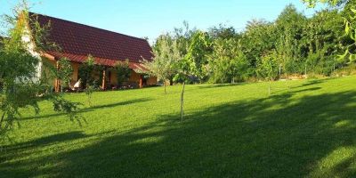 Casa Ciobanca Vadu Crişului - foto 4
