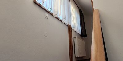 Pensiunea Jalasza Gyöngye Lupeni - foto 2