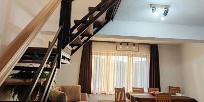 Pensiunea Jalasza Gyöngye Lupeni - foto 5