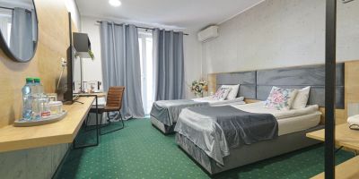 Villa Rosa Timișoara - foto 2