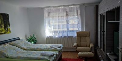 Falusi Vendégház Körösszakál - foto 2