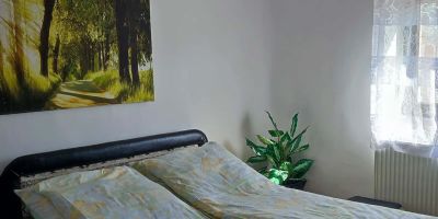 Falusi Vendégház Körösszakál - foto 3
