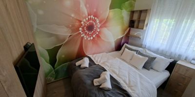 Birdsong Apartman Debrecen - foto 4