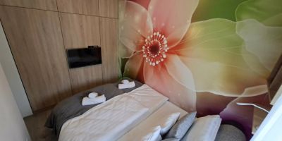Birdsong Apartman Debrecen - foto 5