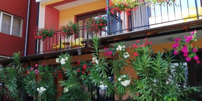 Vila Rozmarin Băile Olăneşti - foto 2