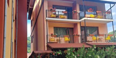 Vila Rozmarin Băile Olăneşti - foto 3