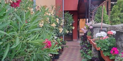 Vila Rozmarin Băile Olăneşti - foto 4