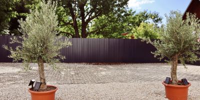 SafeHouse Apartments Balatonboglár - foto 5