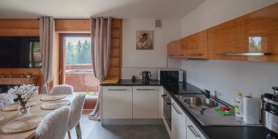 Apartamenty Sun&Snow Mocarni Kościelisko - foto 2