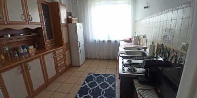 Zielony Azyl - foto 3