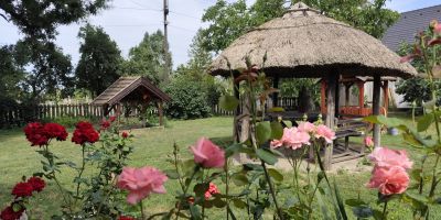 Koroknai Porta Báránd - foto 2