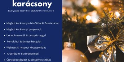 Bassiana Hotel & Étterem Sárvár - foto 5