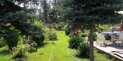 Kecskefarm Tápiószentmárton - foto 3