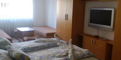 Pálma Apartmanház Harkány - foto 3