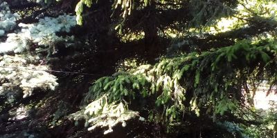 Szépvölgyi Vendégház Siófok - foto 4