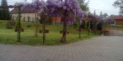 Dedesi Vendégház Zalalövő - foto 4