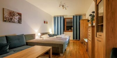 Aparthotel Fatrapark s wellnessom Ružomberok - foto 4