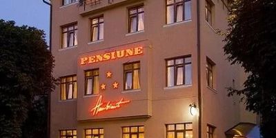 Pensiune Ambient Brașov - foto 2
