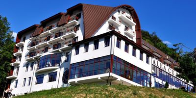 Hotel Valea cu Pești Arefu - foto 3