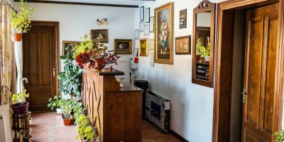 Casa Moţului Arieșeni - foto 5