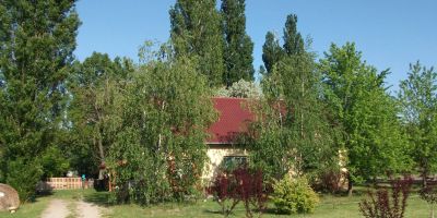 Páva Vendégház Mórahalom - foto 5