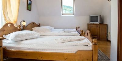 Pensiunea Vraja Muntelui Arieșeni - foto 2