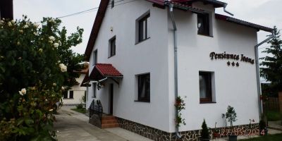 Pensiunea Ioana Curtea de Argeș - foto 2