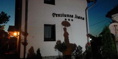 Pensiunea Ioana Curtea de Argeș - foto 3