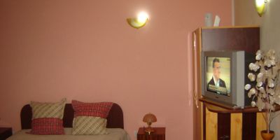 Pensiunea Nicky Oeștii Ungureni - foto 5