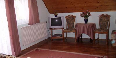 Ilda Apartman Harkány - foto 5