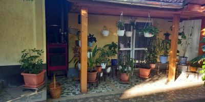 Németh Apartman Tiszafüred - foto 5