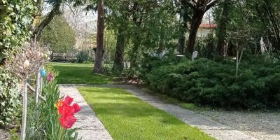 Babó Vendégház Zamárdi - foto 2