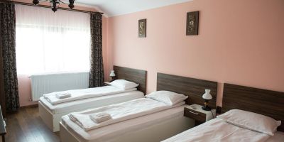 Casa Paveios Oradea - foto 4