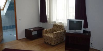 Aba Vezér Vendégház - foto 3
