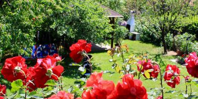 Rózsaház Balatonfüred - foto 5