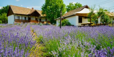 Alsópetényi Vendégházak Alsópetény - foto 5