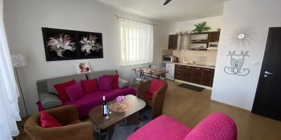APARTMENTS MONTY Podhájska - foto 4