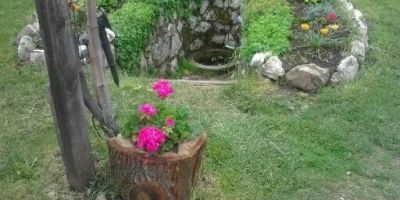Pensiunea Rita Rimetea - foto 4