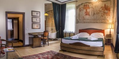 Castel Hotel Daniel Tălișoara - foto 3