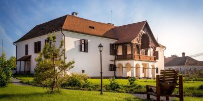 Castel Hotel Daniel Tălișoara - foto 2
