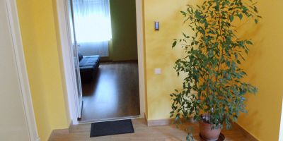 Eszter Wellness Apartman Békéscsaba - foto 3