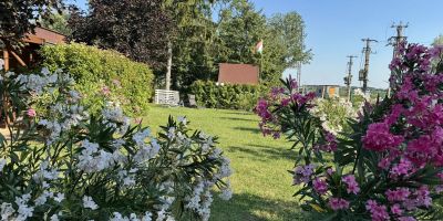 BB Vendégház Balatonboglár - foto 4